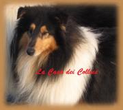 Charles de Gaulle