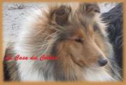 Diva de Luna Mì Amòr